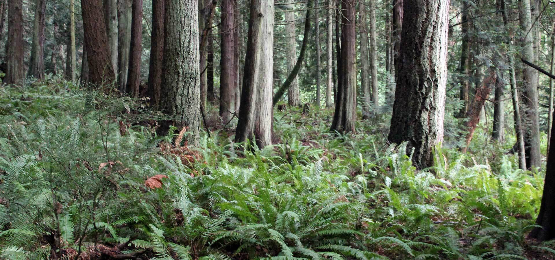 7 Ways To Become A More Sustainable Business-Sea Witch Botanicals