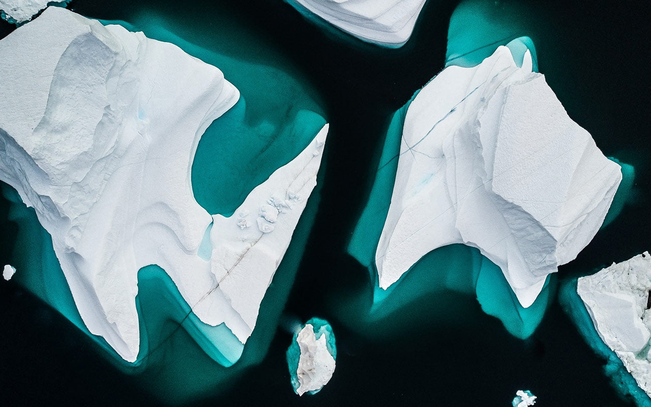 Climate Change Is Not A Debate-Sea Witch Botanicals