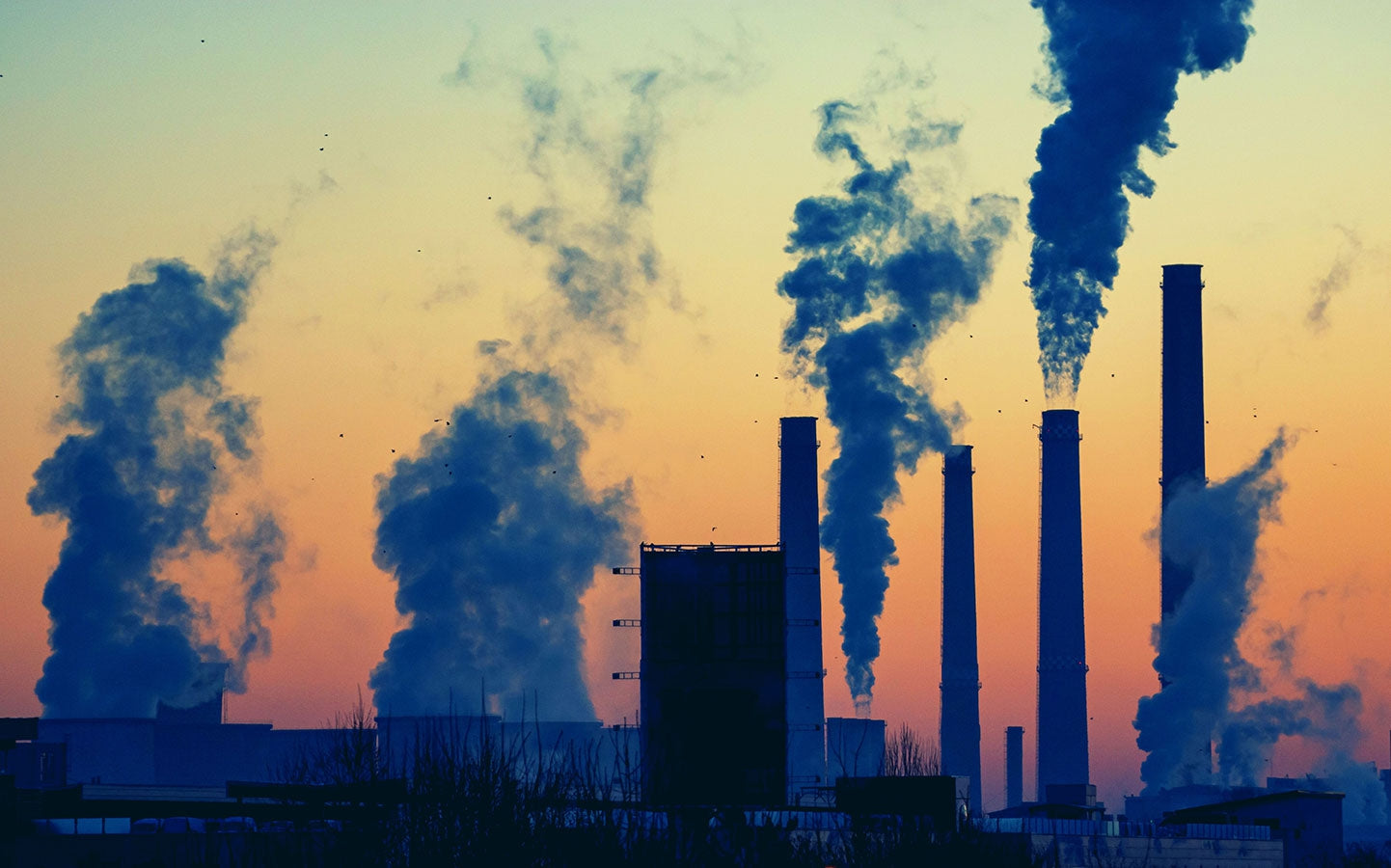 20 Most Egregious Environmental Rollbacks of The Trump Administration-Sea Witch Botanicals