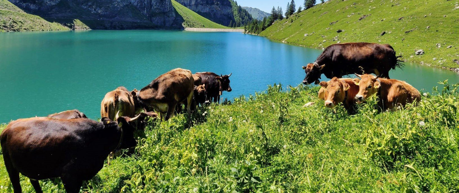 Taurus Season Magic: Sensual Sustainability 5 Ways-Sea Witch Botanicals