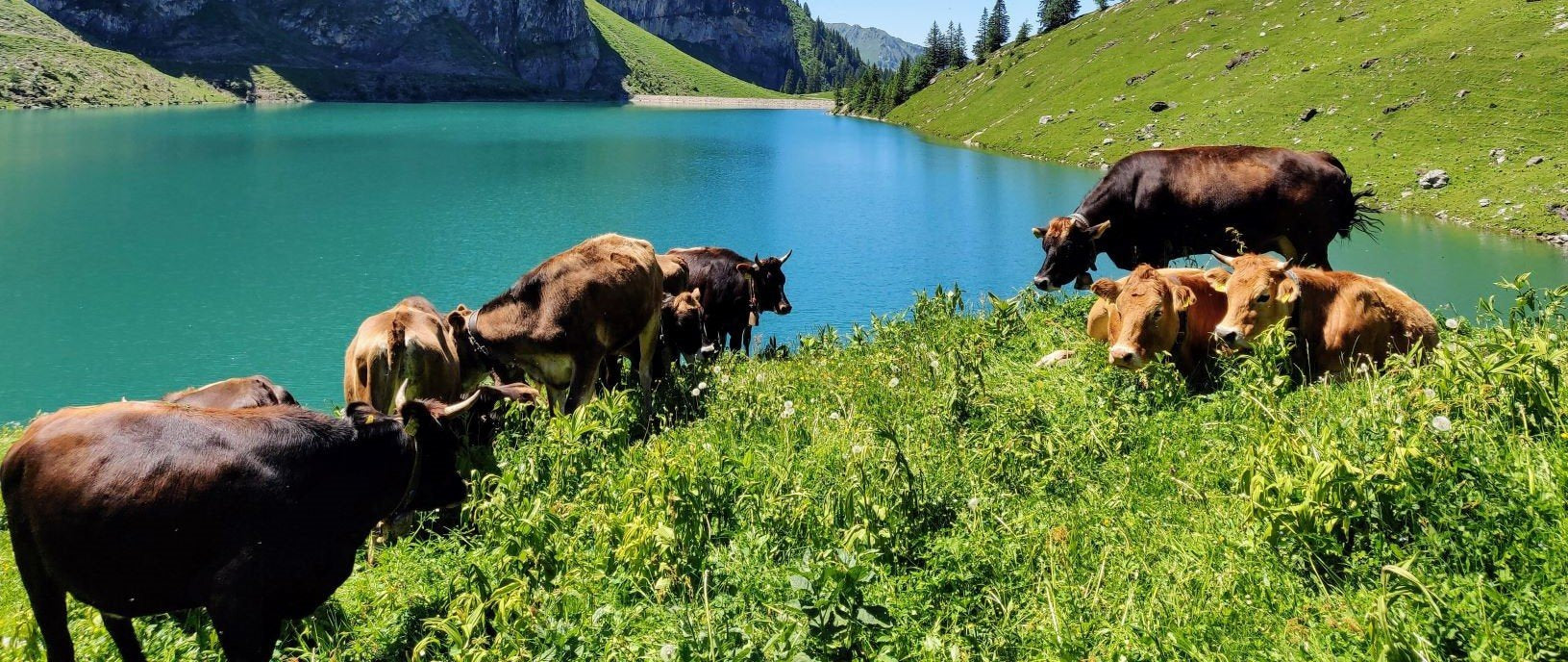 Taurus Season Magic: Sensual Sustainability 5 Ways-Sea Witch Botanicals