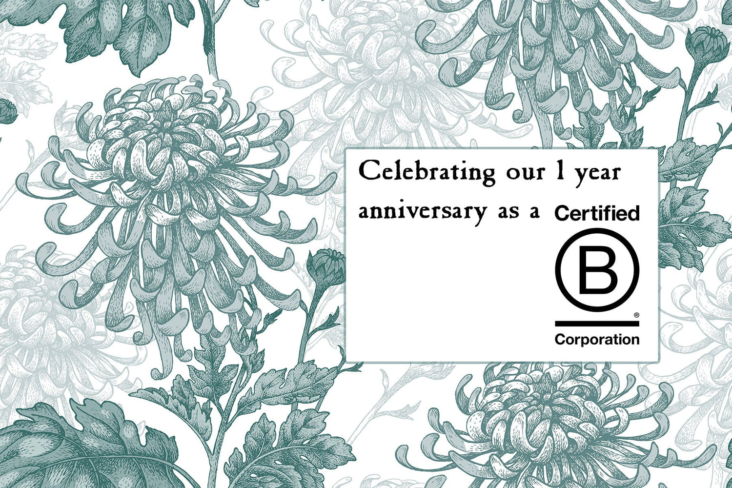 How a Small Business can Become B Corp Certified-Sea Witch Botanicals