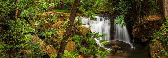 Whatcom Falls, Bellingham, Washington. A lovely little park on the outskirts of downtown Bellingham, Washington. The falls are on Whatcom Creek, which leads from Lake Whatcom to Bellingham Bay.
