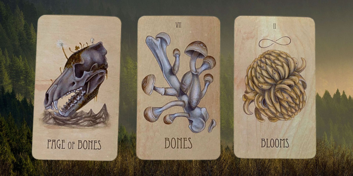 A New Moon Tarot Reading from Sincerely The Tarot-Sea Witch Botanicals