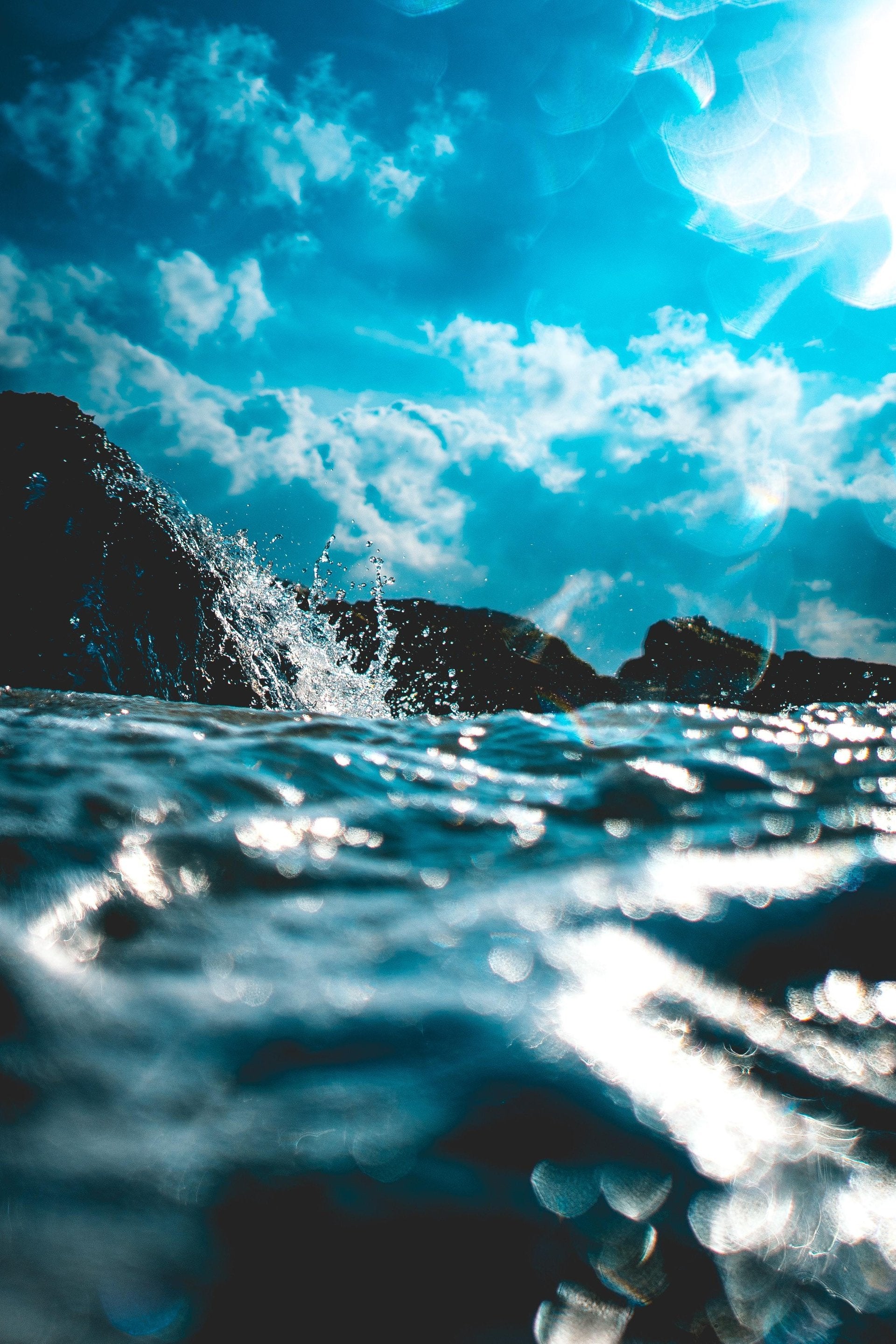 Five Plants for Pisces Season Magic-Sea Witch Botanicals