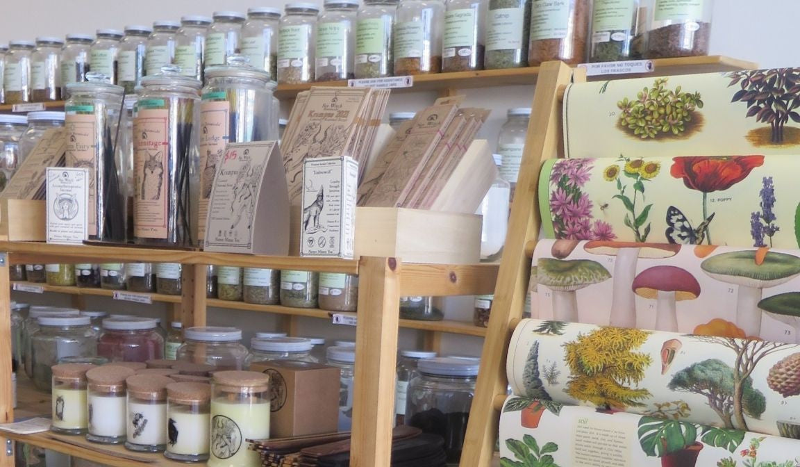 Stockist Spotlight: Wild Terra in Highland Park, Los Angeles-Sea Witch Botanicals
