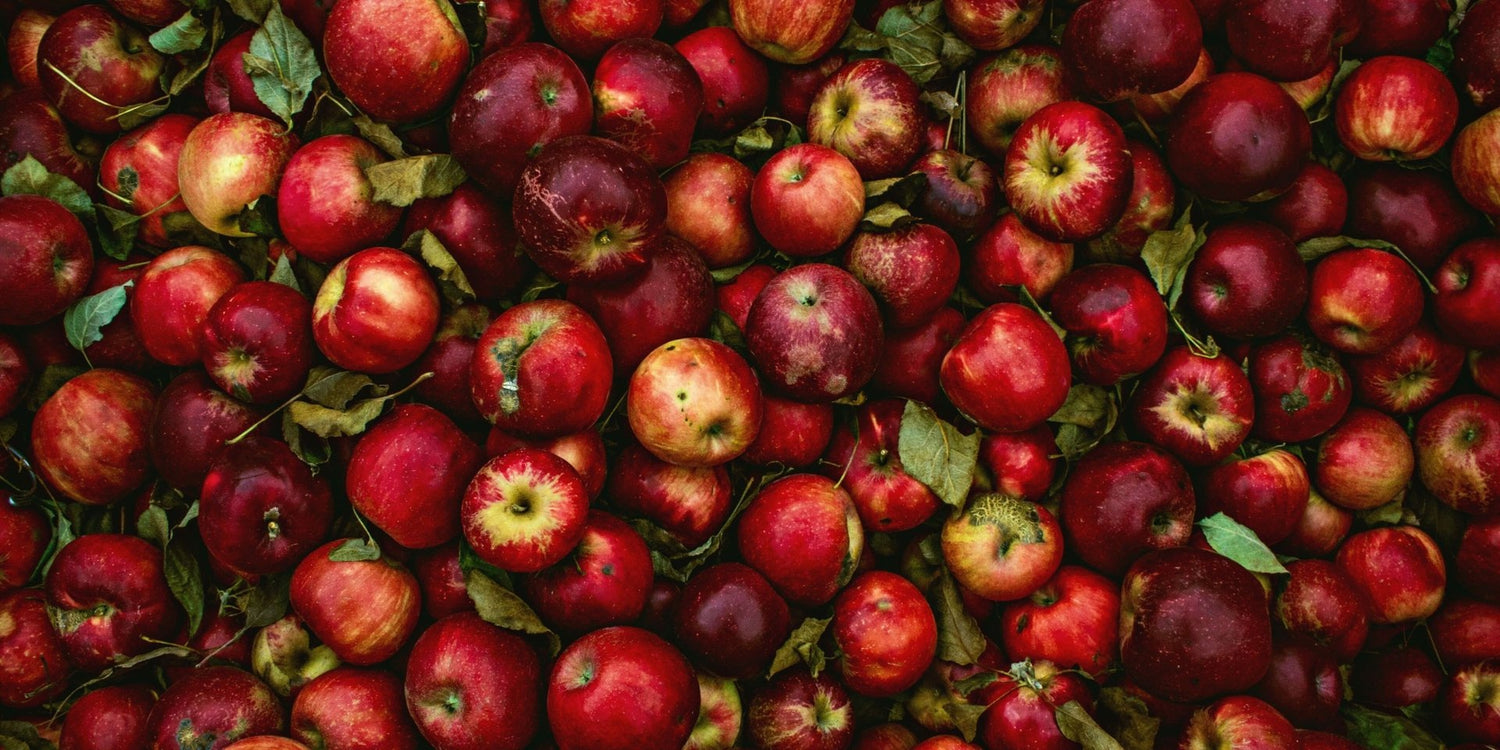 How to Celebrate the Autumnal Equinox-Sea Witch Botanicals