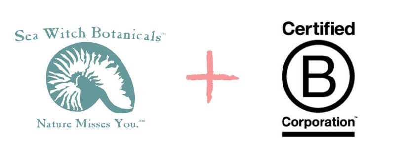 Sea Witch Botanicals is now certified B Corp by the B Lab.-Sea Witch Botanicals