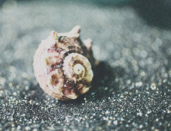 Sea Witch Botanicals Earns High Praise on the YUKA App: A Win for Conscious Consumers-Sea Witch Botanicals