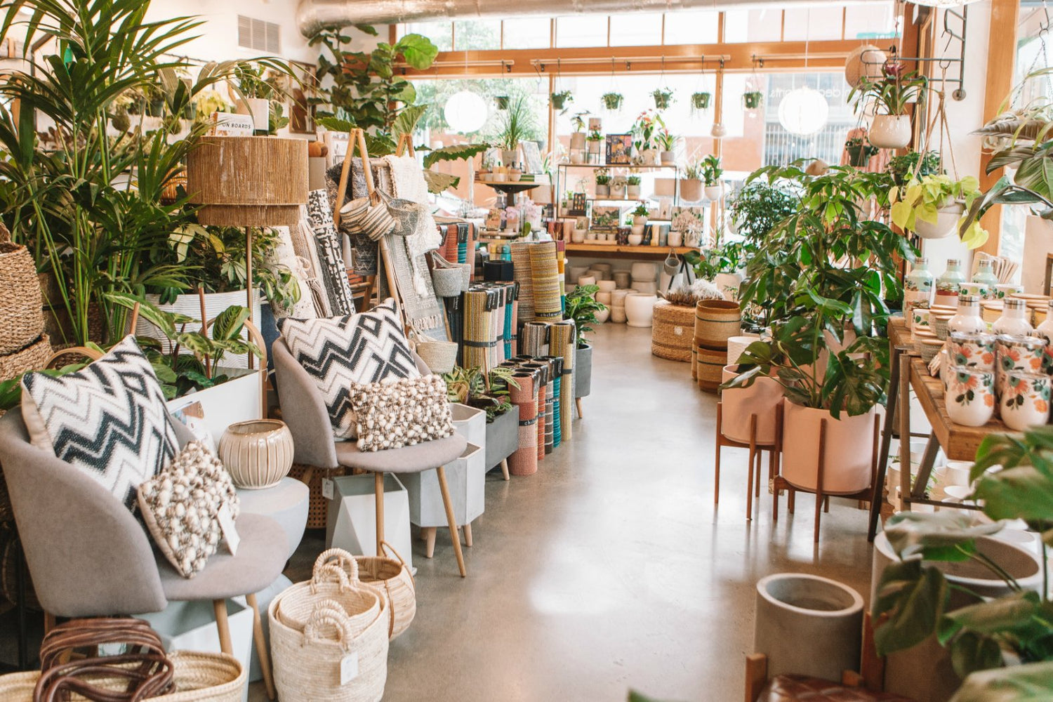 Black-Owned Portland Plant Shop EcoVibe 