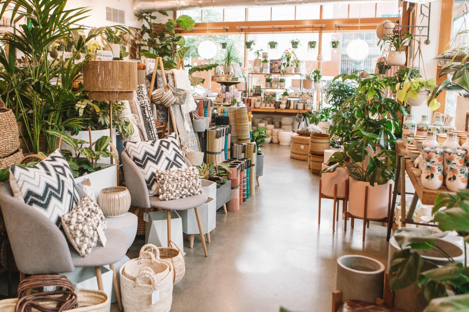 Black-Owned Portland Plant Shop EcoVibe 