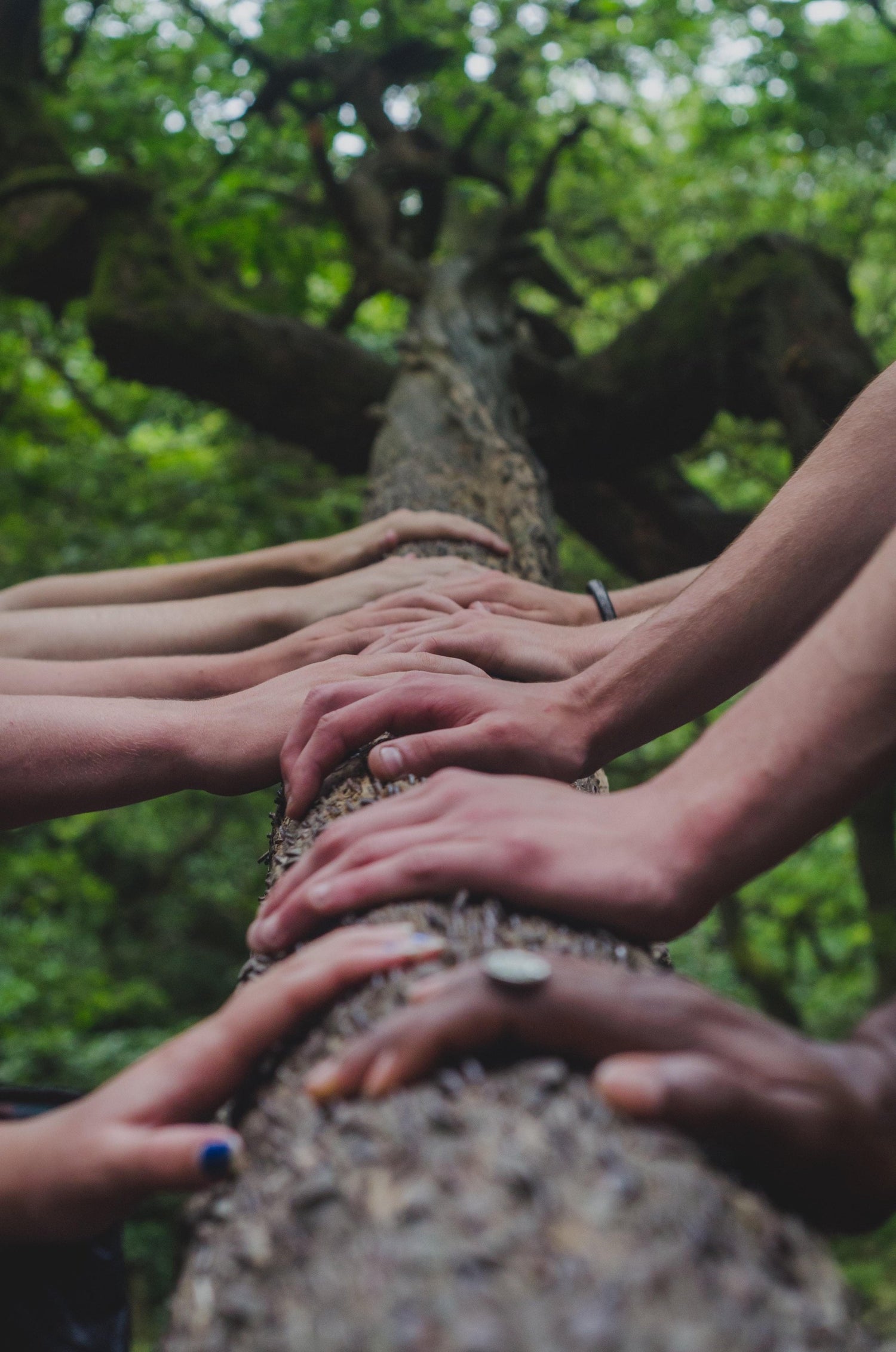 Mental Health Awareness Month: Feed Your Soul-Sea Witch Botanicals