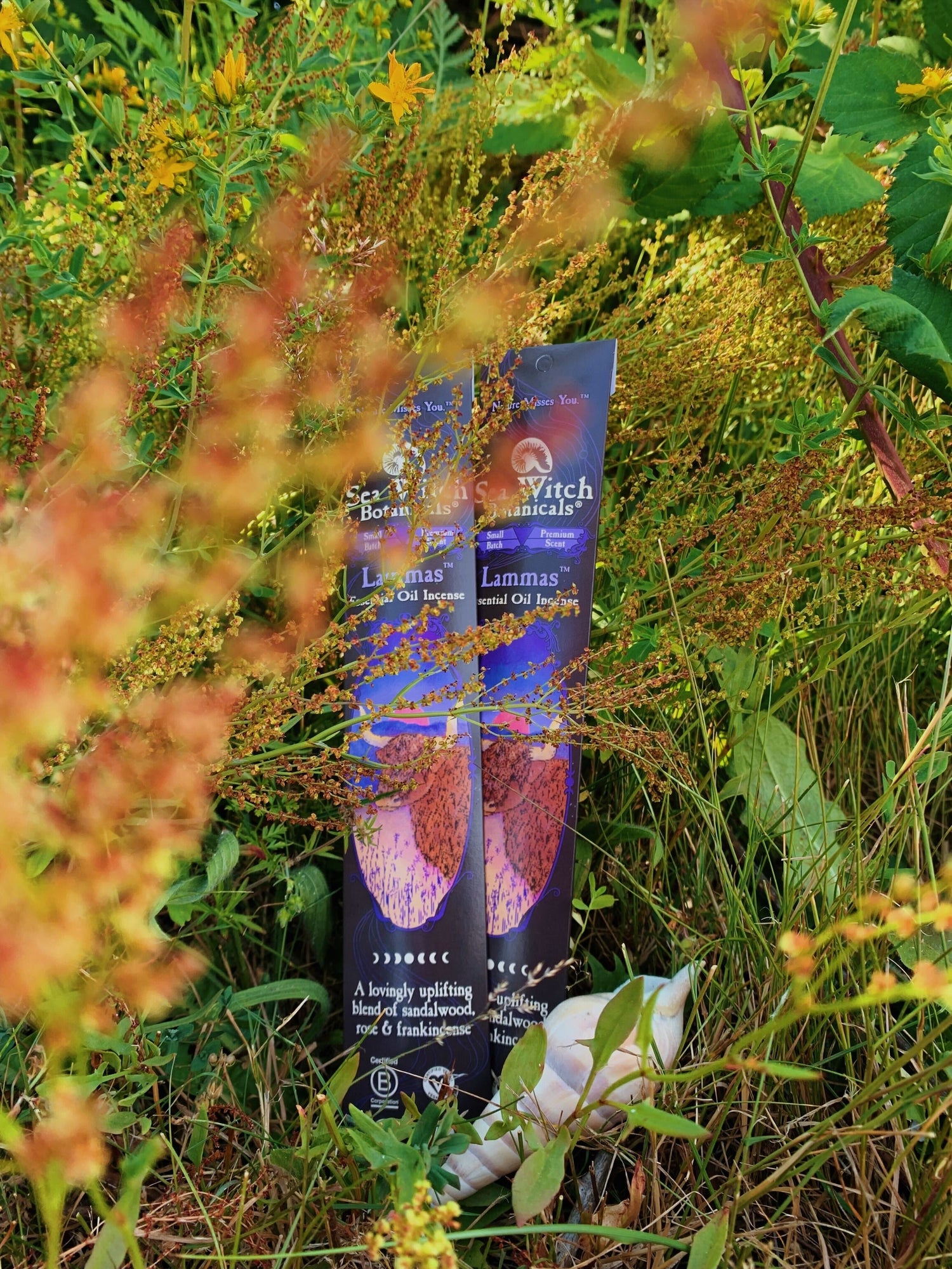 Sea Witch Botanicals Lammas Incense with a seashell pictured with Heather and St John's Wort