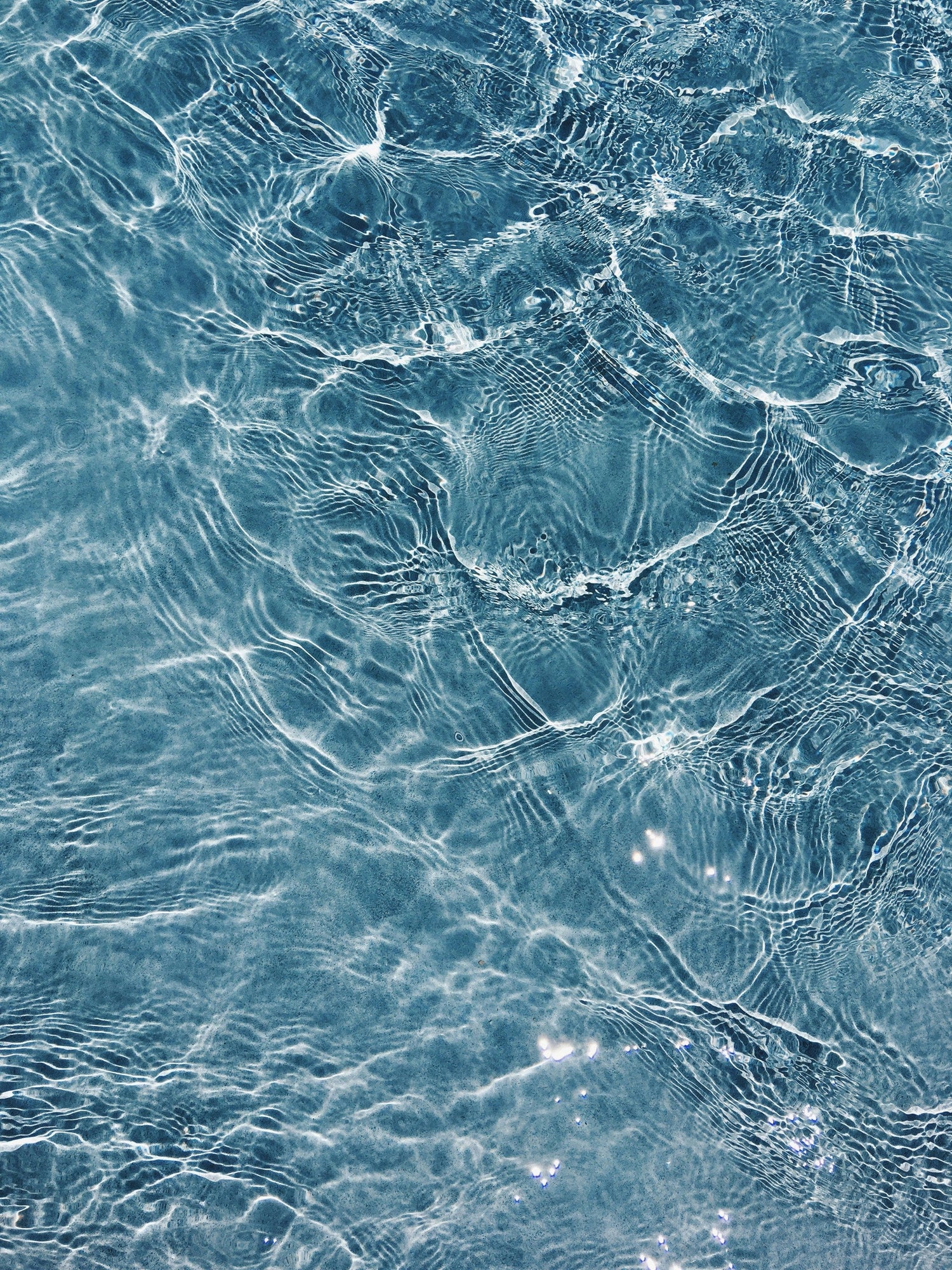 Common Ingredients in Home & Body Products You Want to Avoid-Sea Witch Botanicals
