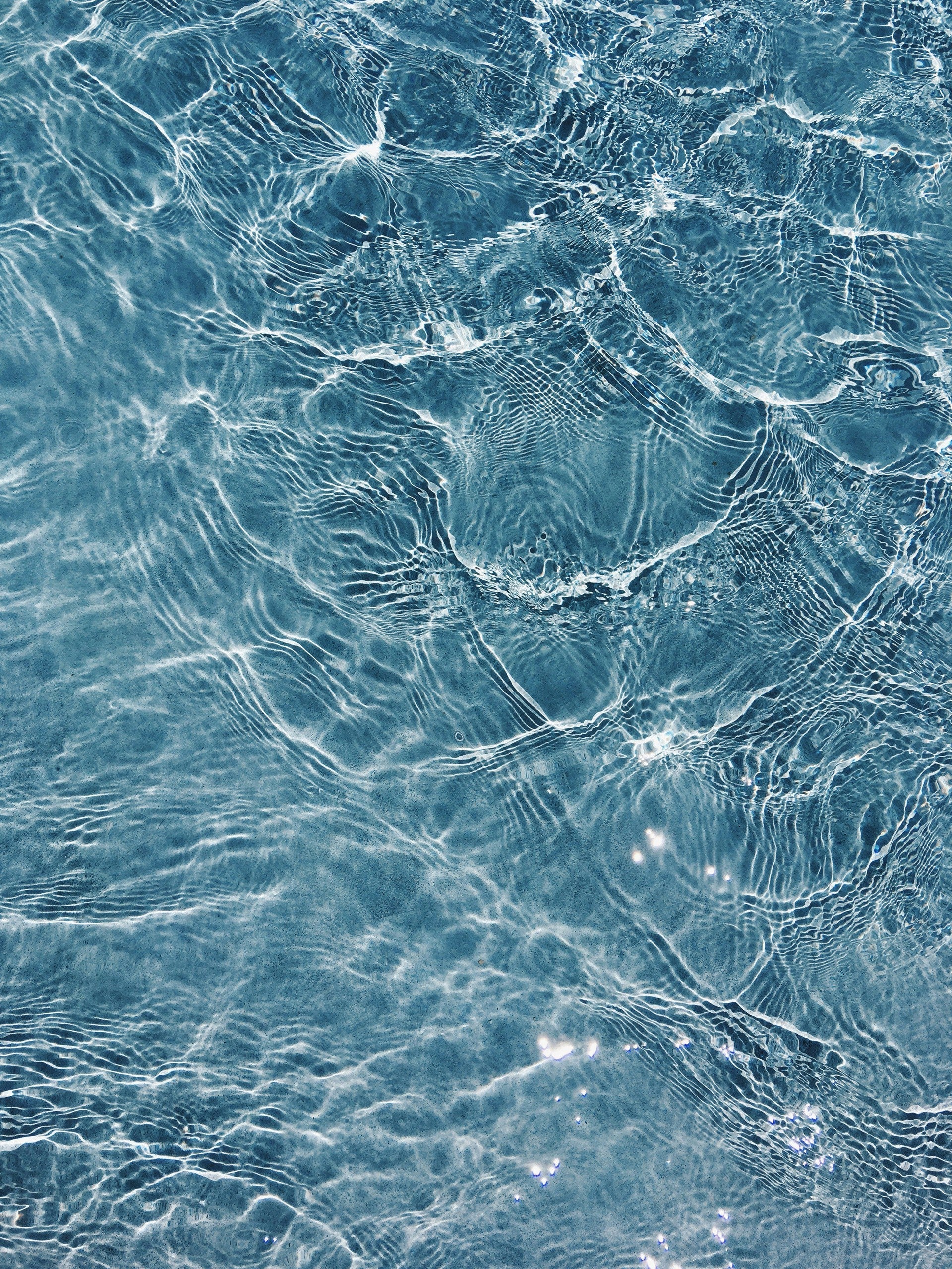 Common Ingredients in Home & Body Products You Want to Avoid-Sea Witch Botanicals