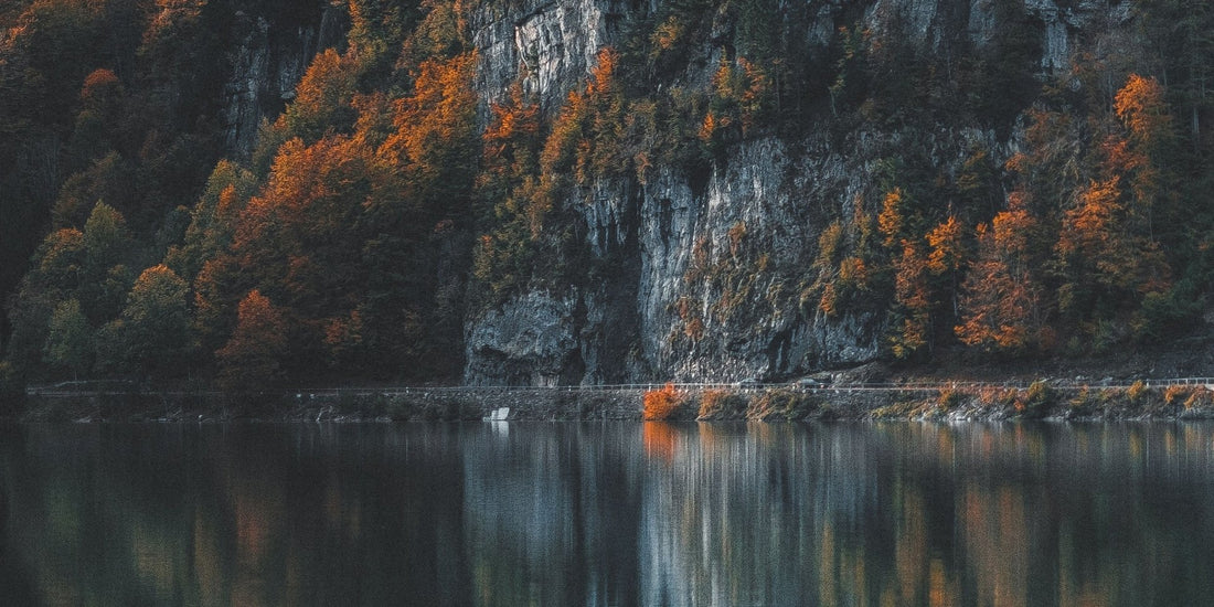 Scorpio Season Magic: Six Plants to Breathe, Drink & Bathe With-Sea Witch Botanicals