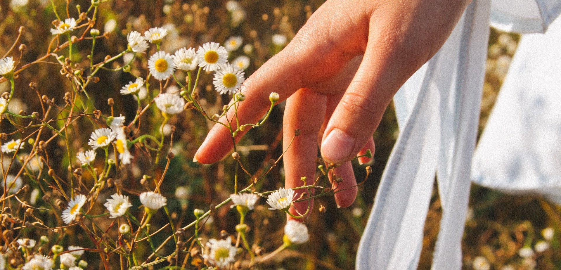 Five Ways to Capture Some Summer Magic-Sea Witch Botanicals