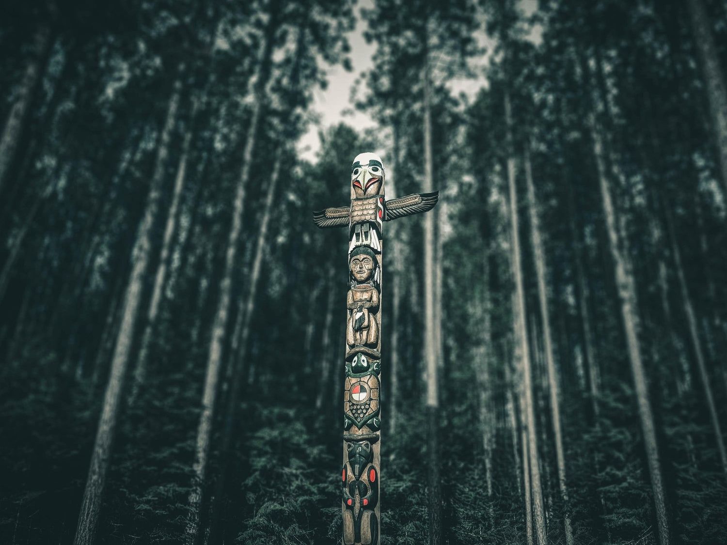 Supporting Indigenous Environmental Network on Indigenous Peoples' Day Weekend-Sea Witch Botanicals