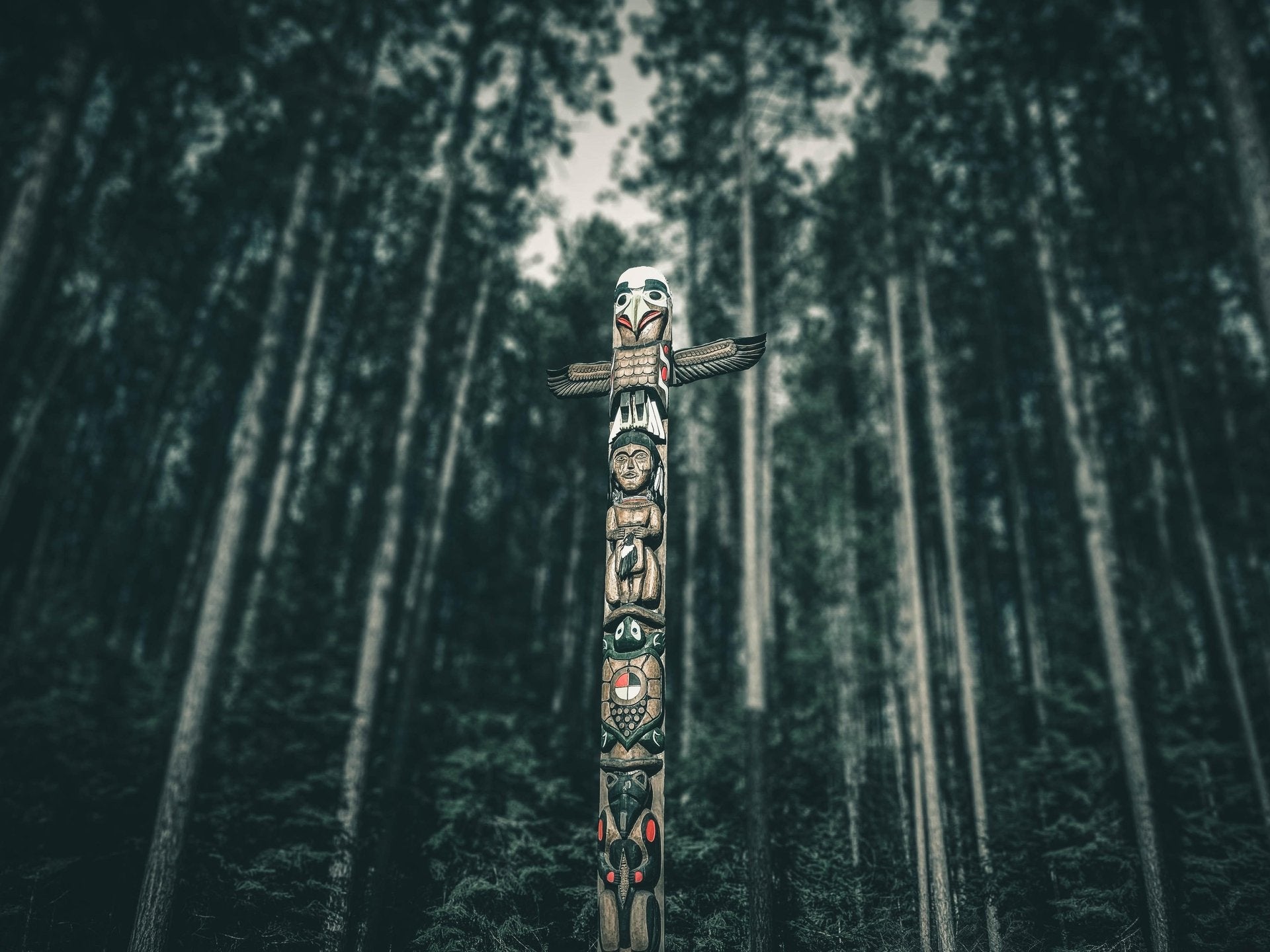 Supporting Indigenous Environmental Network on Indigenous Peoples' Day Weekend-Sea Witch Botanicals