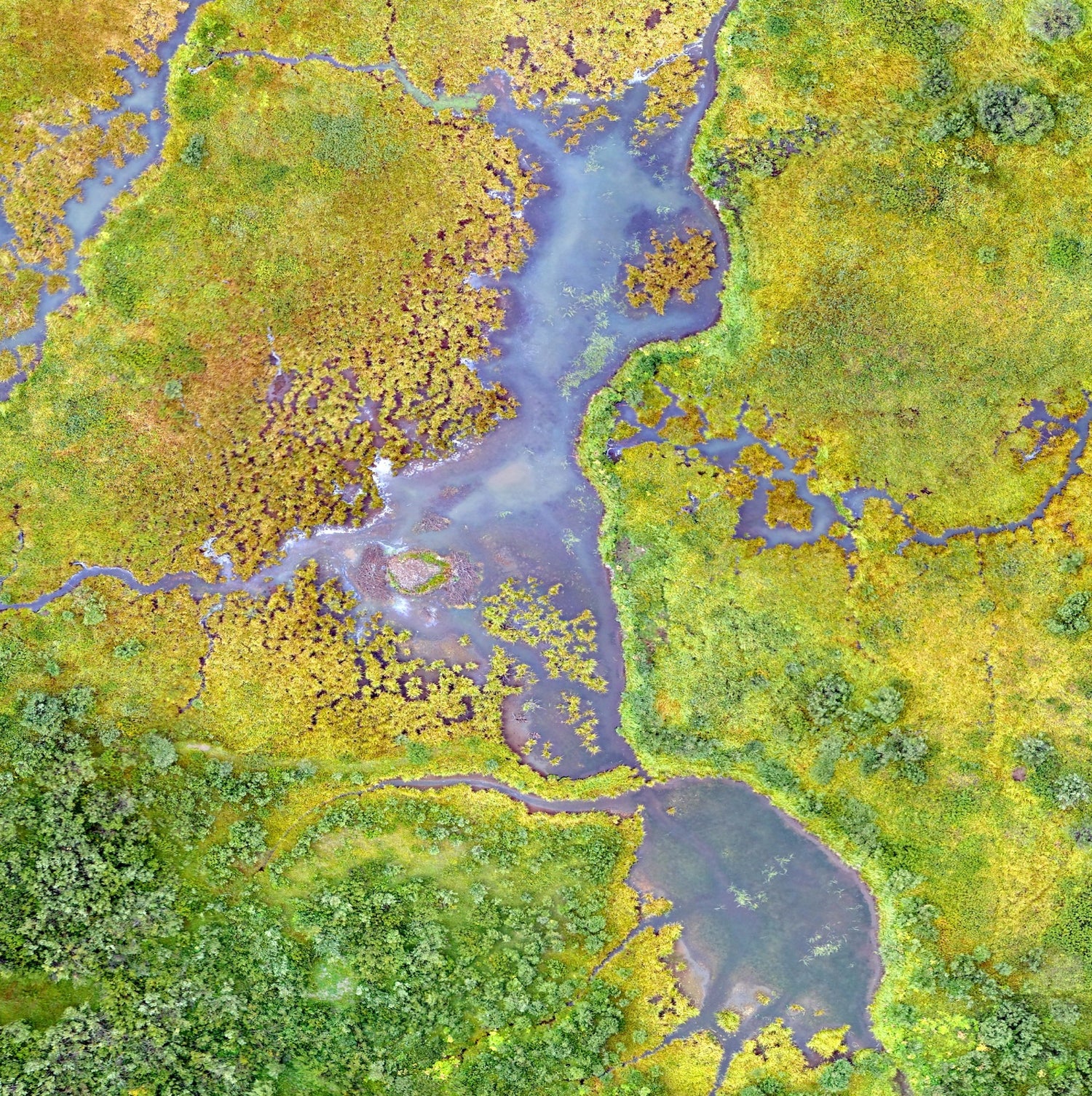aerial view of a fen in Colorado