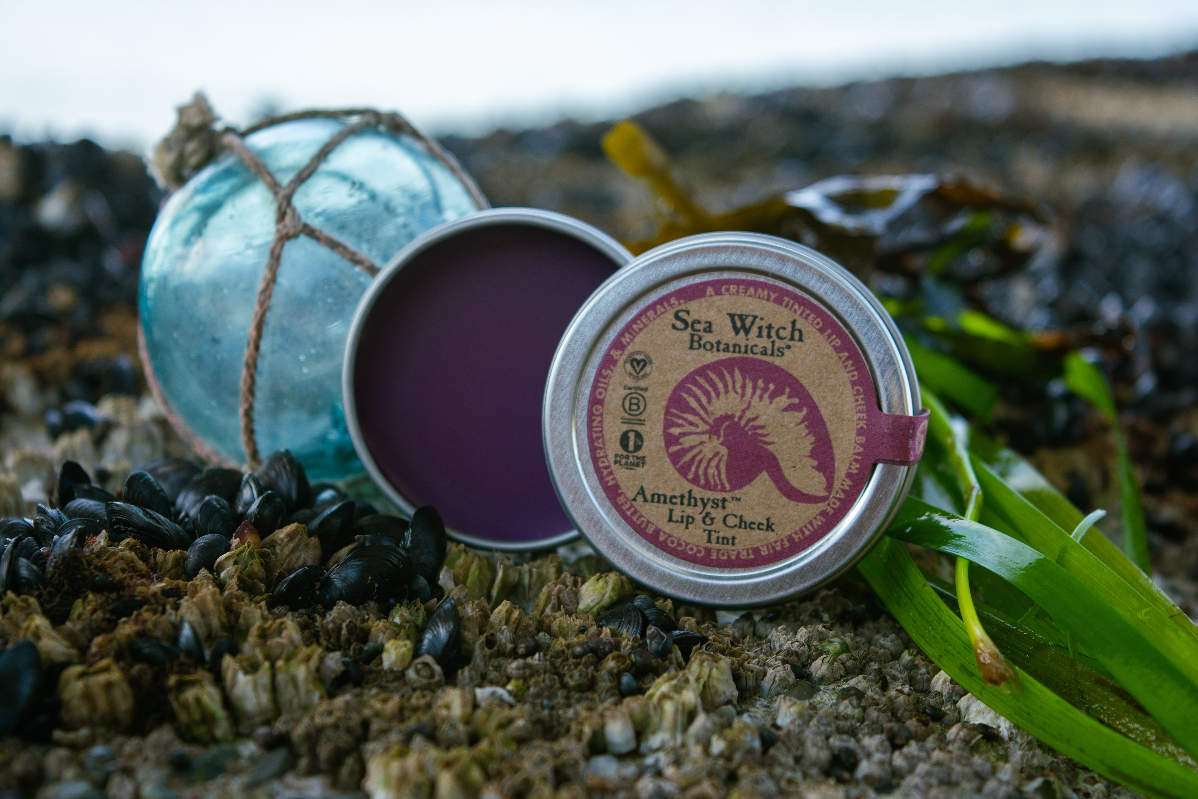 Plastic-Free Products