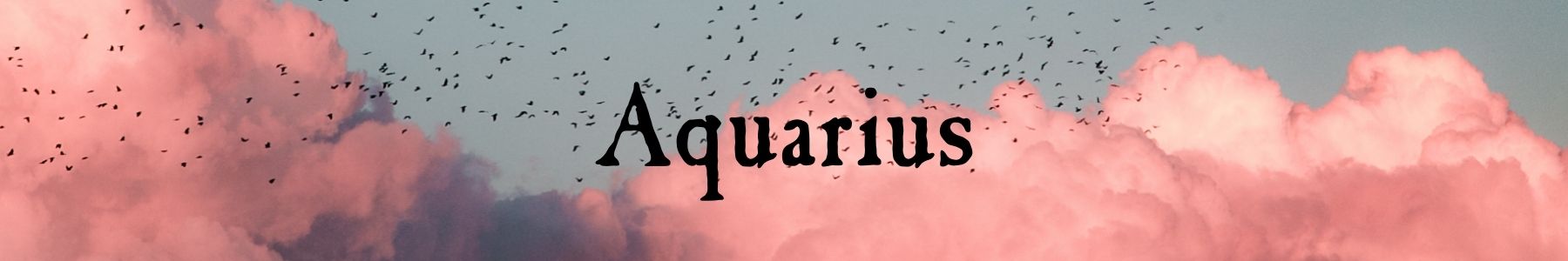 Zodiac Collection: Aquarius