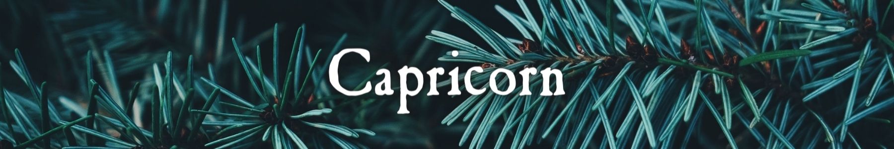 Zodiac Collection: Capricorn