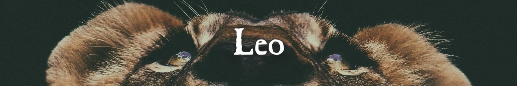 Zodiac Collection: Leo