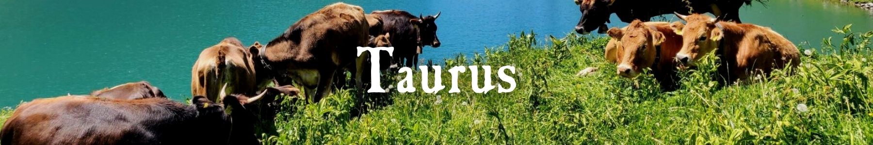 Zodiac Collection: Taurus