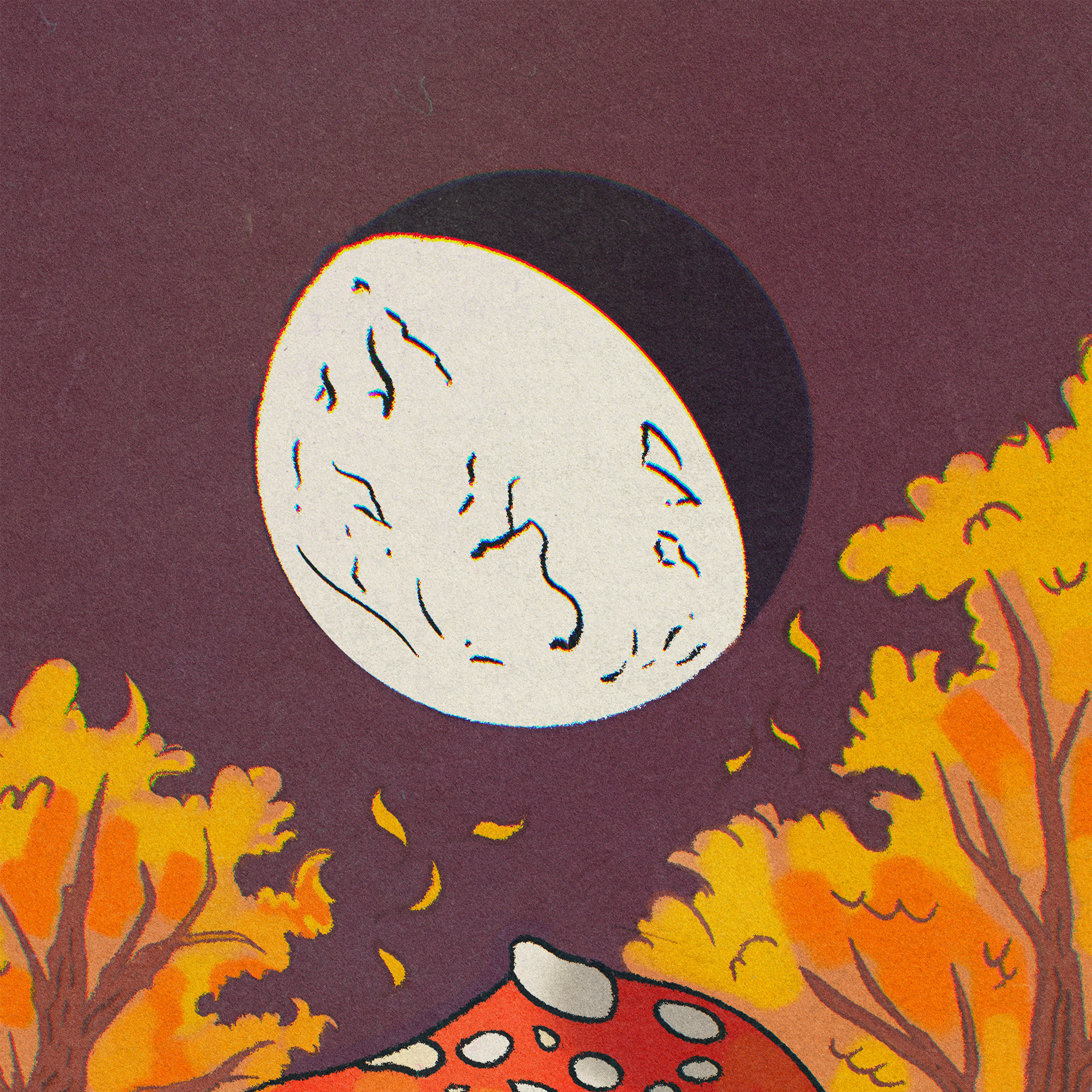 Moon Phase: Waning Moon