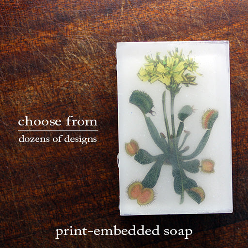 Vegan, Organic Body Soaps