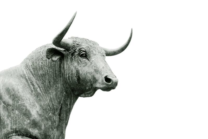 Zodiac Sign: Taurus