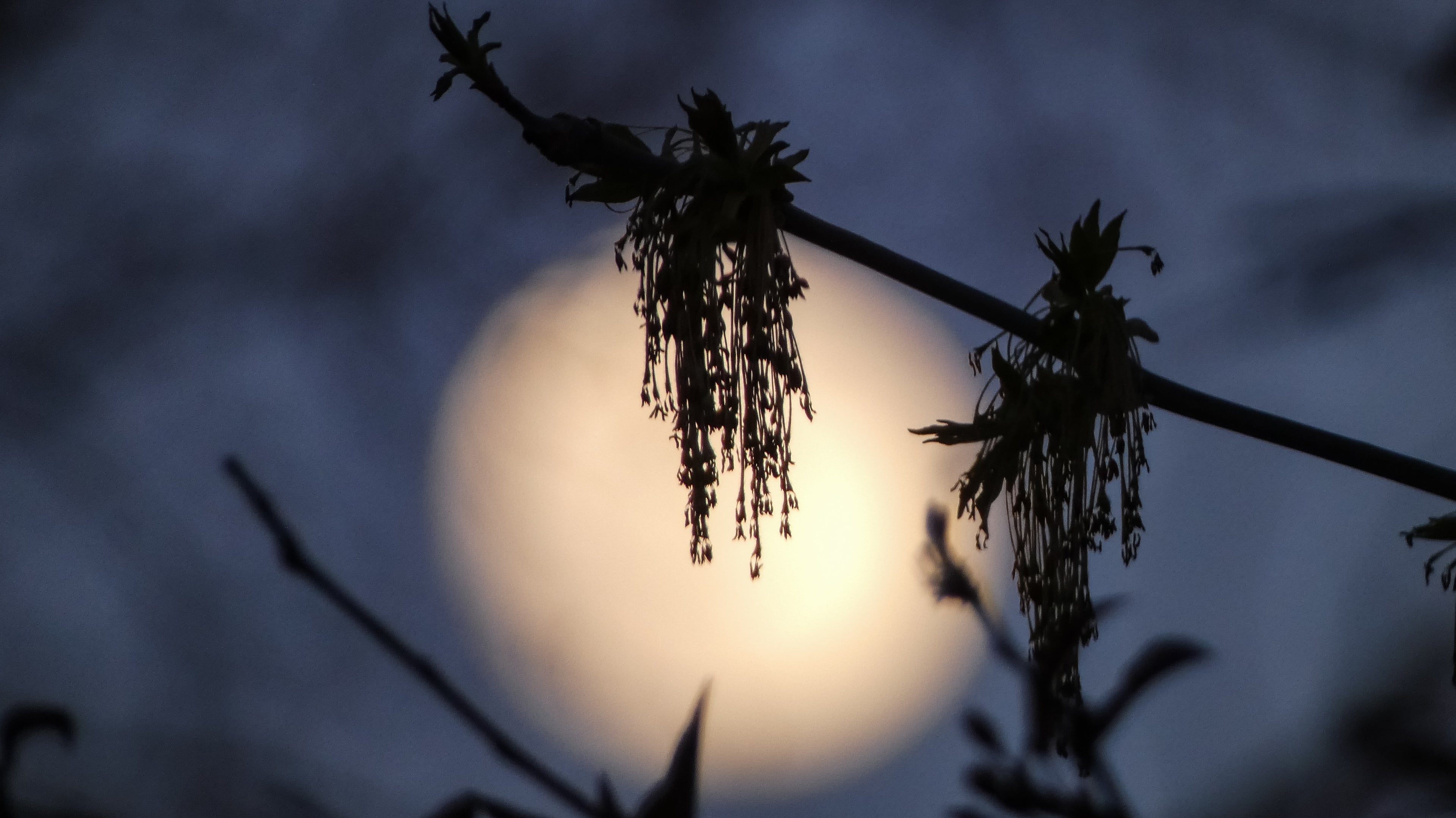 Rituals: Moon Magic