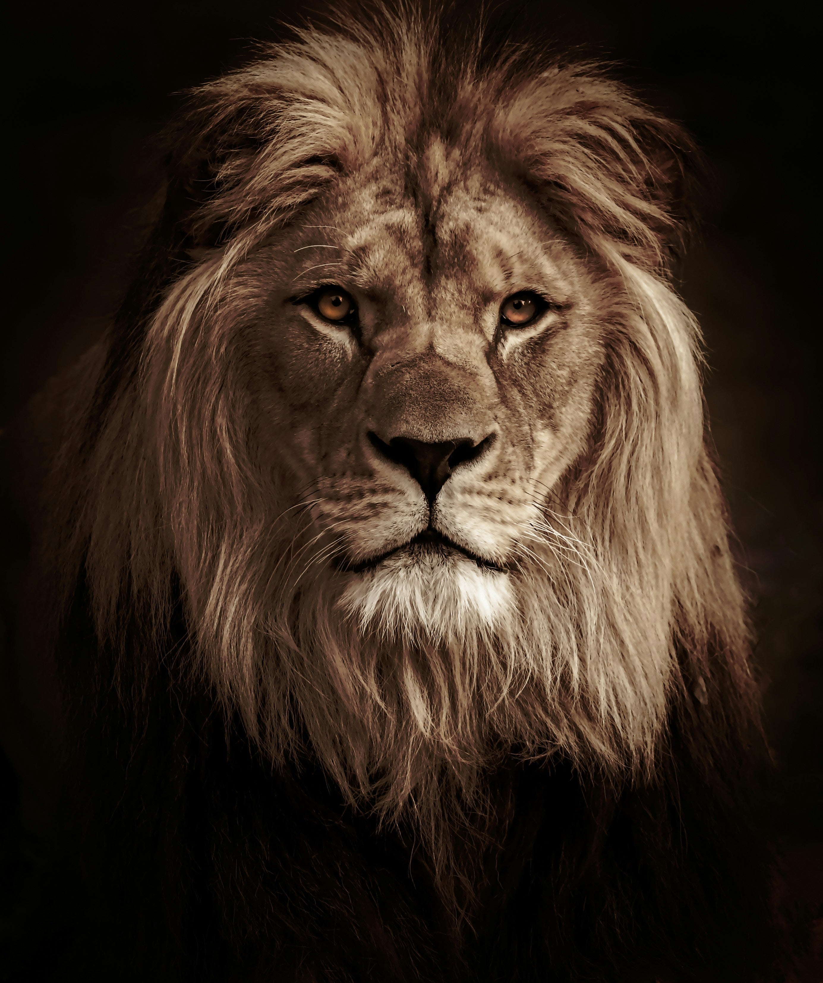 Zodiac Sign: Leo