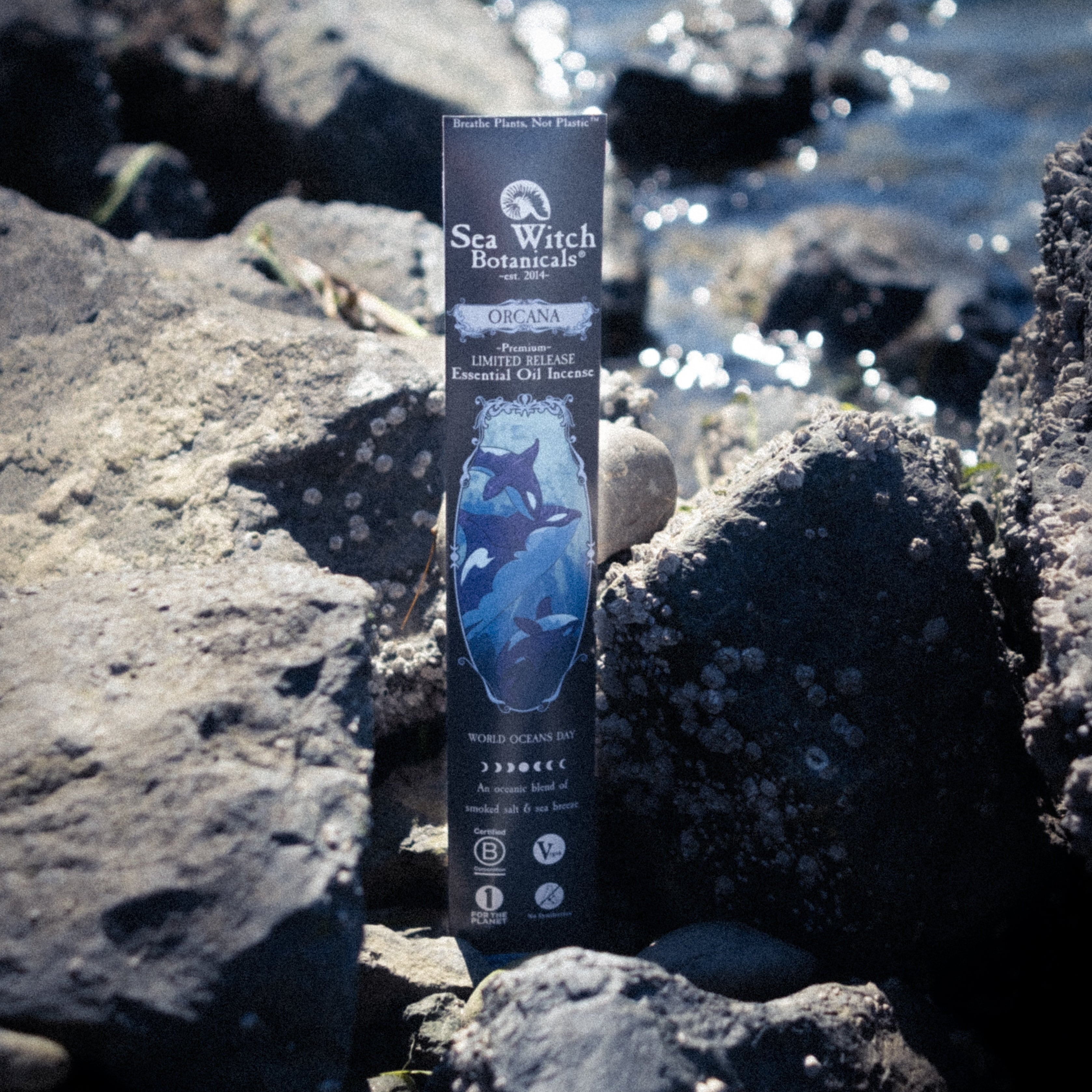 Orcana Limited Edition Incense: with Eucalyptus, Cedar, &amp; Sea Salt