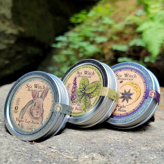 Vegan Colorless Lip Balm Trio