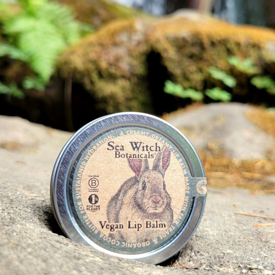 Vegan Colorless Lip Balm Trio