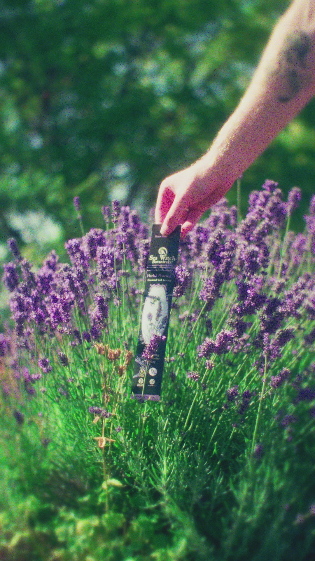 Herbal Renewal Incense: with All-Natural Lavender &amp; Rosemary Essential Oil