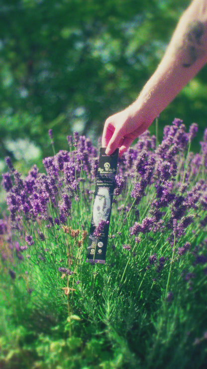 Herbal Renewal Incense: with All-Natural Lavender &amp; Rosemary Essential Oil