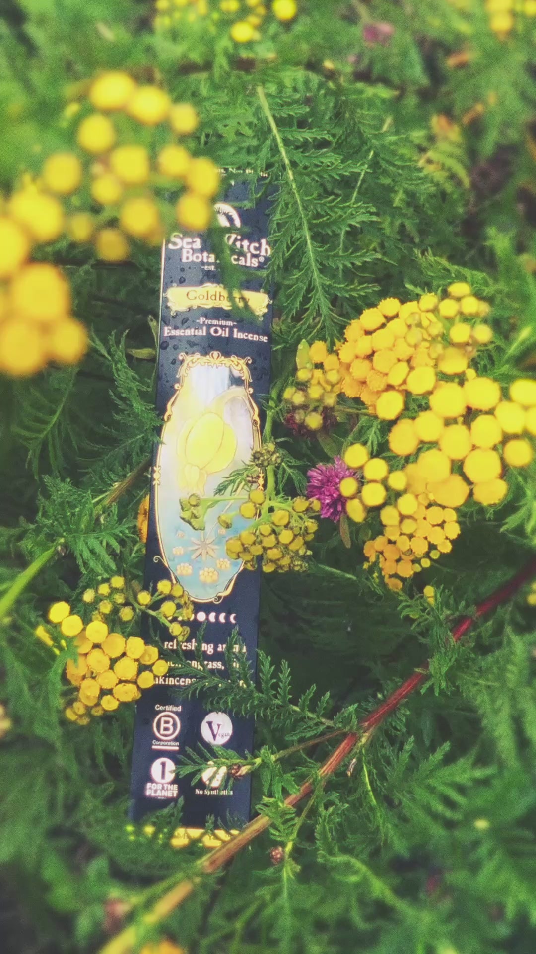 Goldberry Incense: with All-Natural Lemongrass, Fir, Frankincense, &amp; Tea Tree