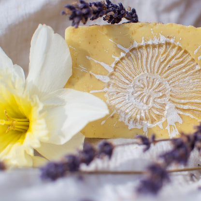 Frith Nourishing Body Soap-Body Soap-Sea Witch Botanicals-Sea Witch Botanicals