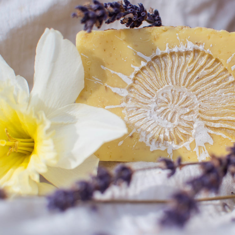 Frith Nourishing Body Soap-Body Soap-Sea Witch Botanicals-Sea Witch Botanicals